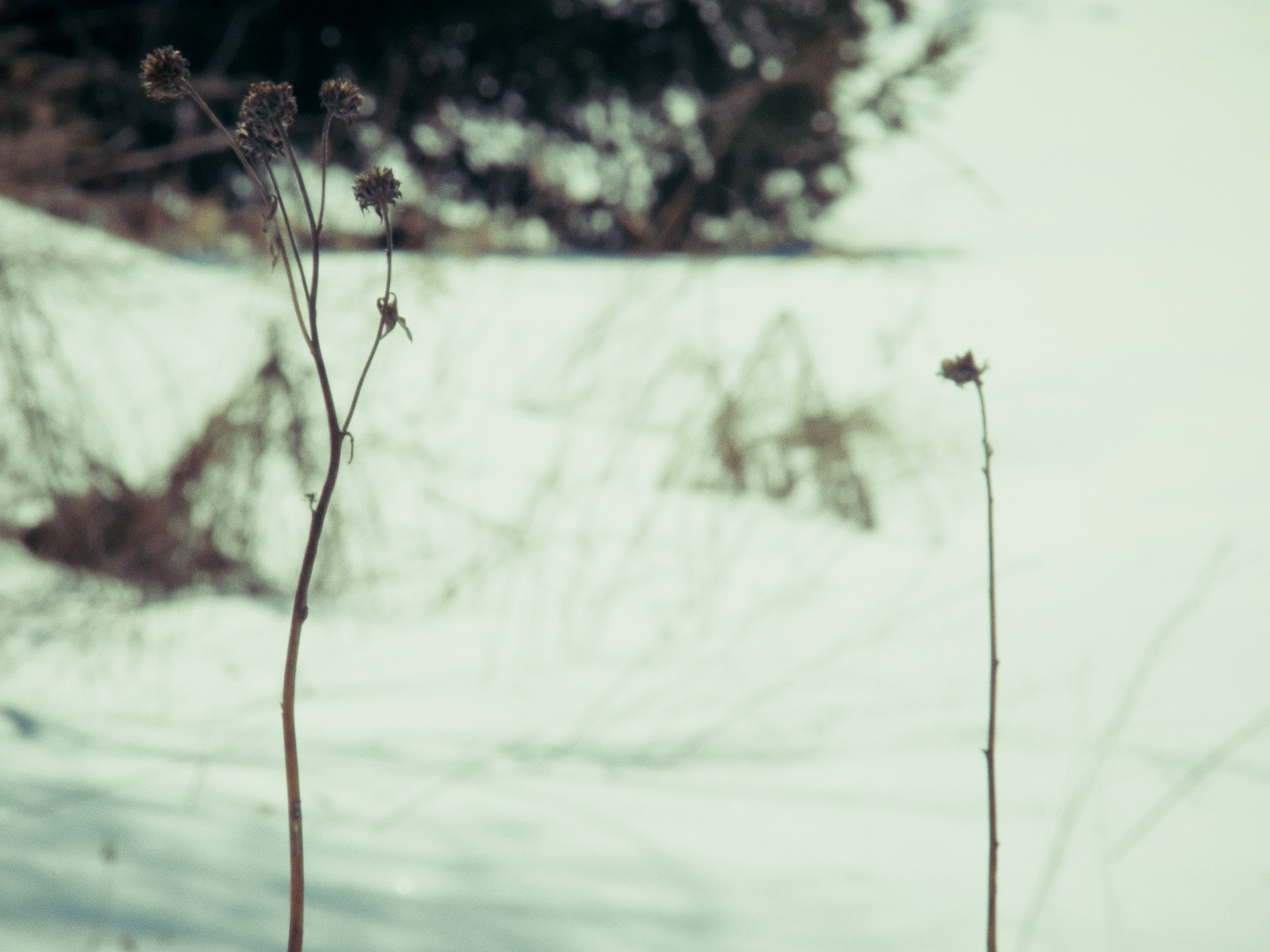 Still 6